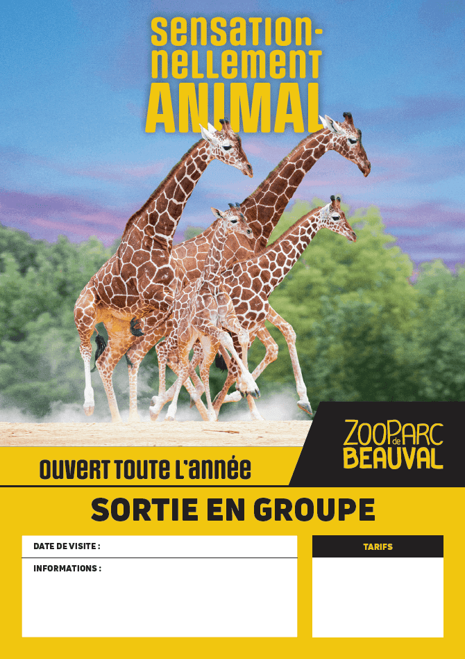Image du support